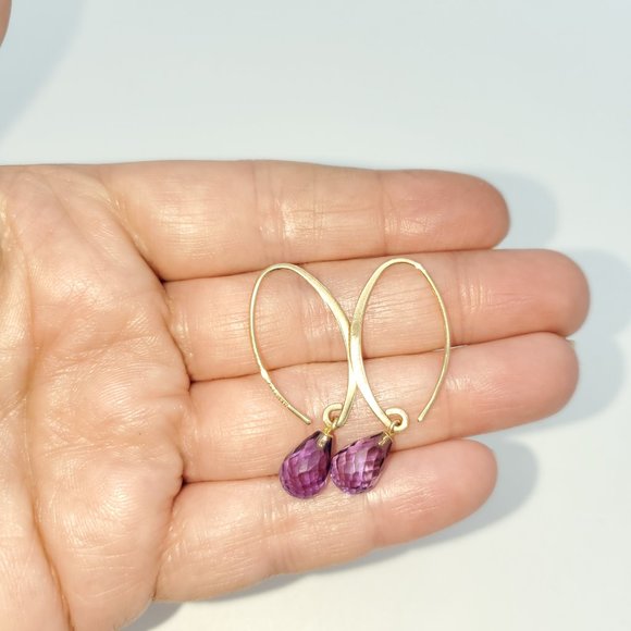 Nabco Jewelry - 14k  Faceted Amethyst Briolette Earrings